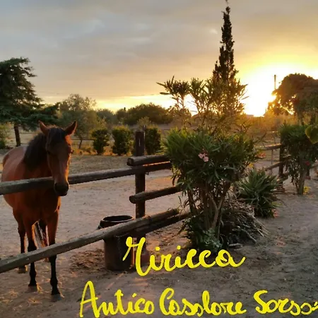Villa Antico Casolare Sorso-tourist Sorso