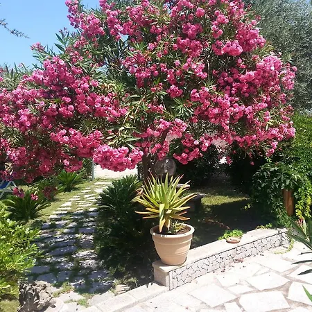 Villa Antico Casolare Sorso-tourist Sorso